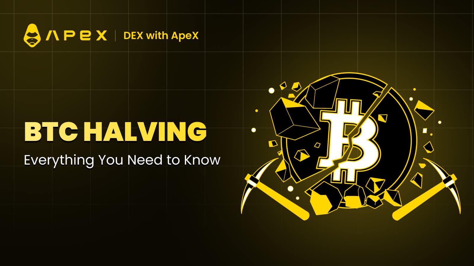 The Ultimate Guide to Bitcoin Halving