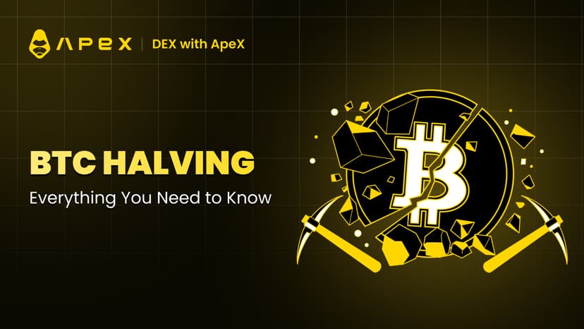 The Ultimate Guide to Bitcoin Halving