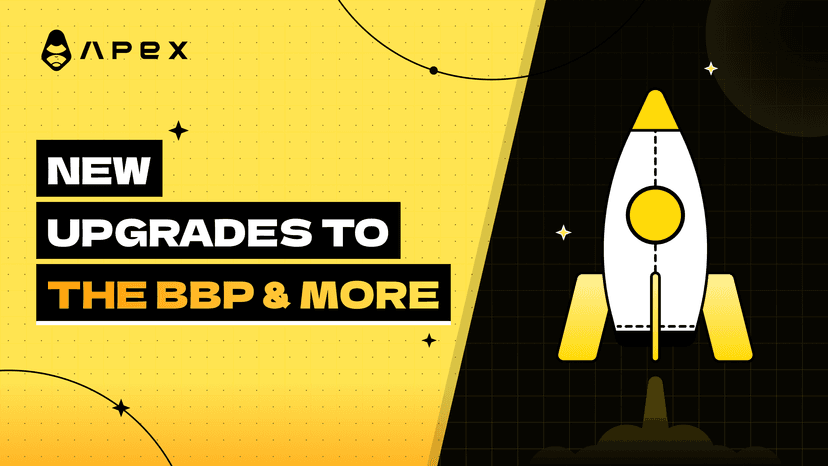 Buy & Burn Pool Upgrade: Staking & Other Programs to Come